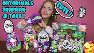 Mega surprise Hatchimals /LEA