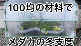 メダカの冬支度 100均の材料を添えて Youtube メダカの冬支度 100均の材料を添えて Youtube