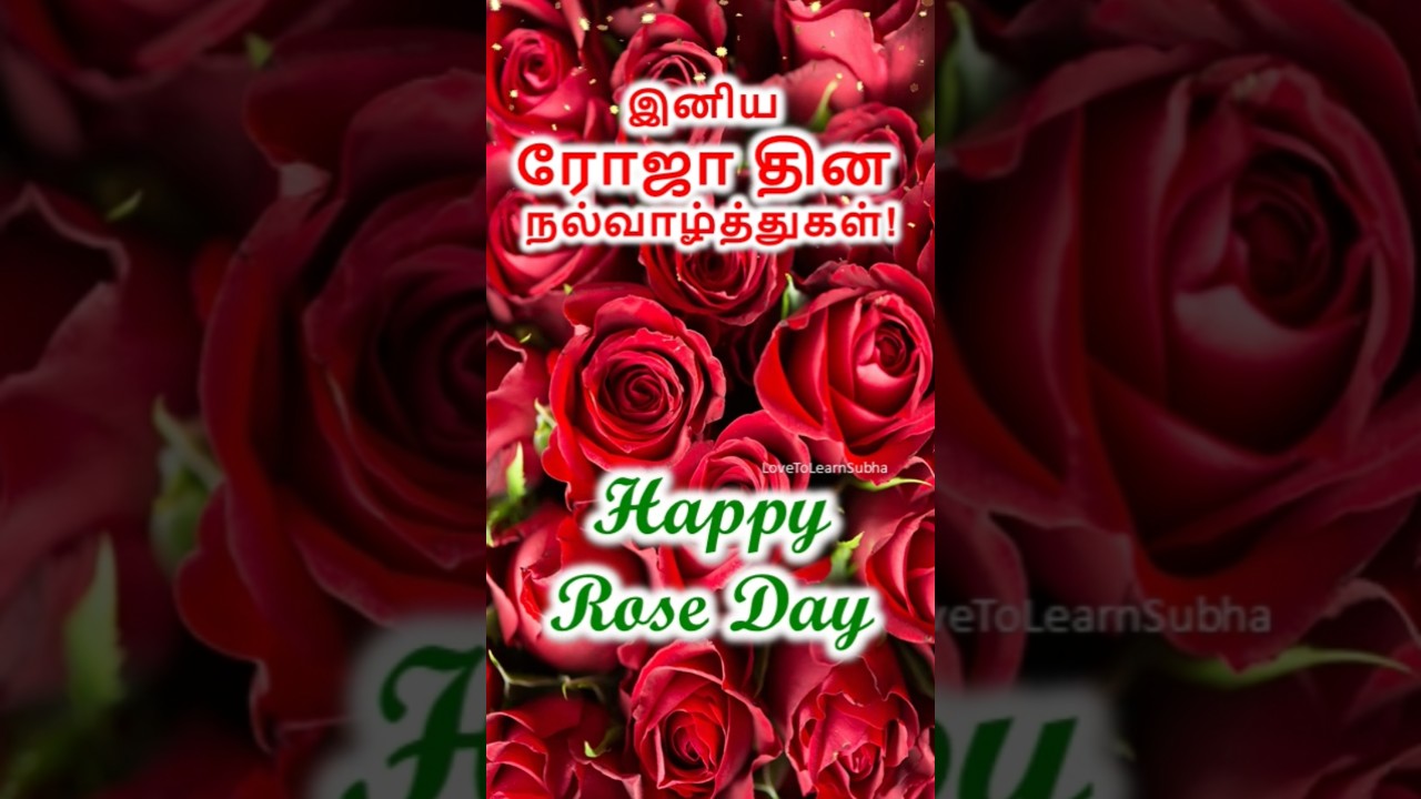 Rose Day Status |Rose Day Whatsapp Status 2026|Happy Rose Day Status|Happy Rose Day 2026|Rose Day