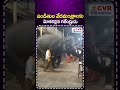 పండితుల వేదమంత్రాలకు..మోకరిల్లిన గజేంద్రుడు |Gajendrudu | Daily Devotional Shorts | CVR OM Spiritual