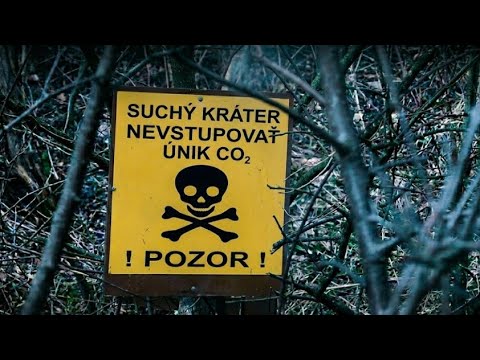 Prieskum lesov Vyšné Ružbachy