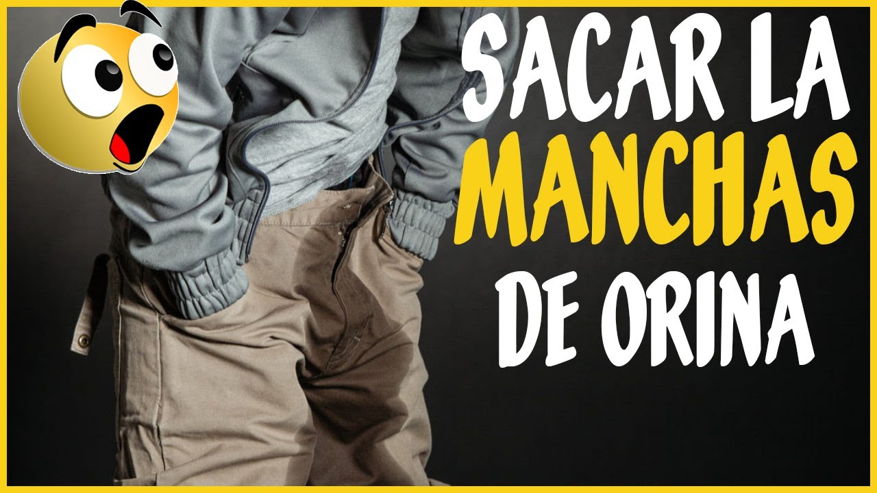 cómo sacar las manchas de orina en la ropa YouTube cómo sacar las manchas de orina en la ropa YouTube