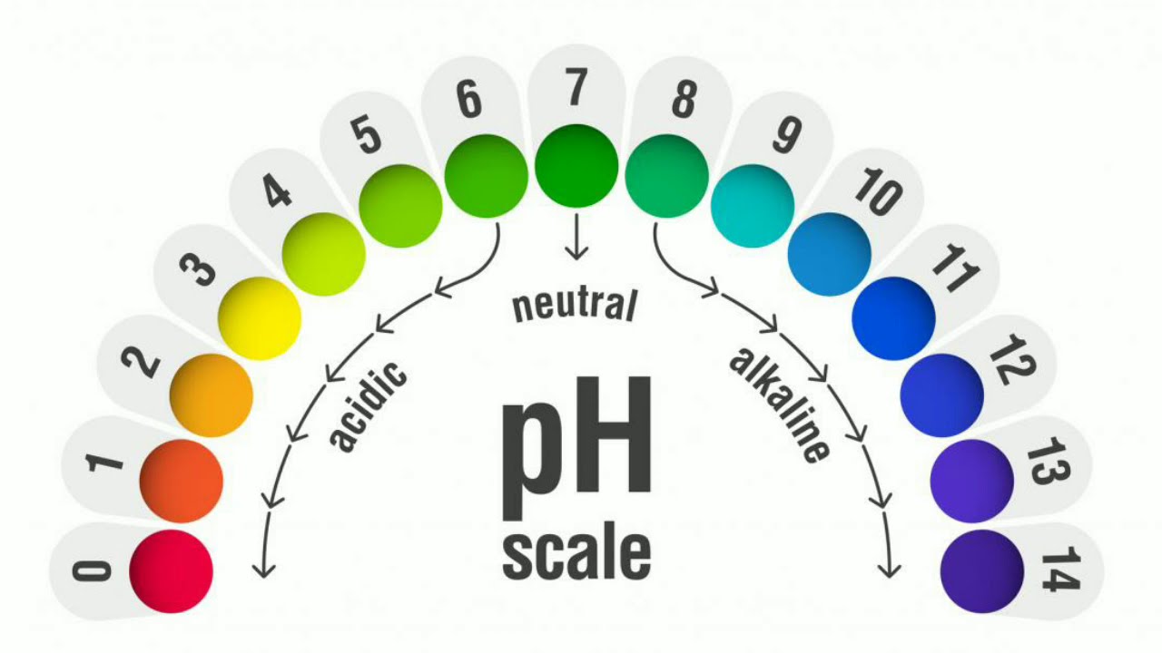 Кислотность водорода. Показатель кислотности PH. Шкала PH. Шкала РН среды кислотности и щелочности. Водородный показатель РН.