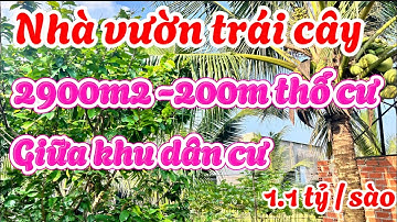 Nhà vườn Đồng Nai. 2900m2 có 200m thổ cư . Sầu riêng , bơ … lâu năm. Giá rất hợp lý. 