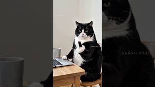 This Cat Working From Home Is The Ultimate MOOD ☕️😹