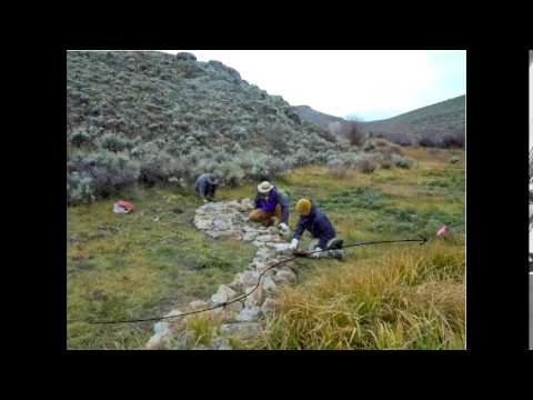 San Miguel Basin Gunnison Sage-Grouse Working Group TF