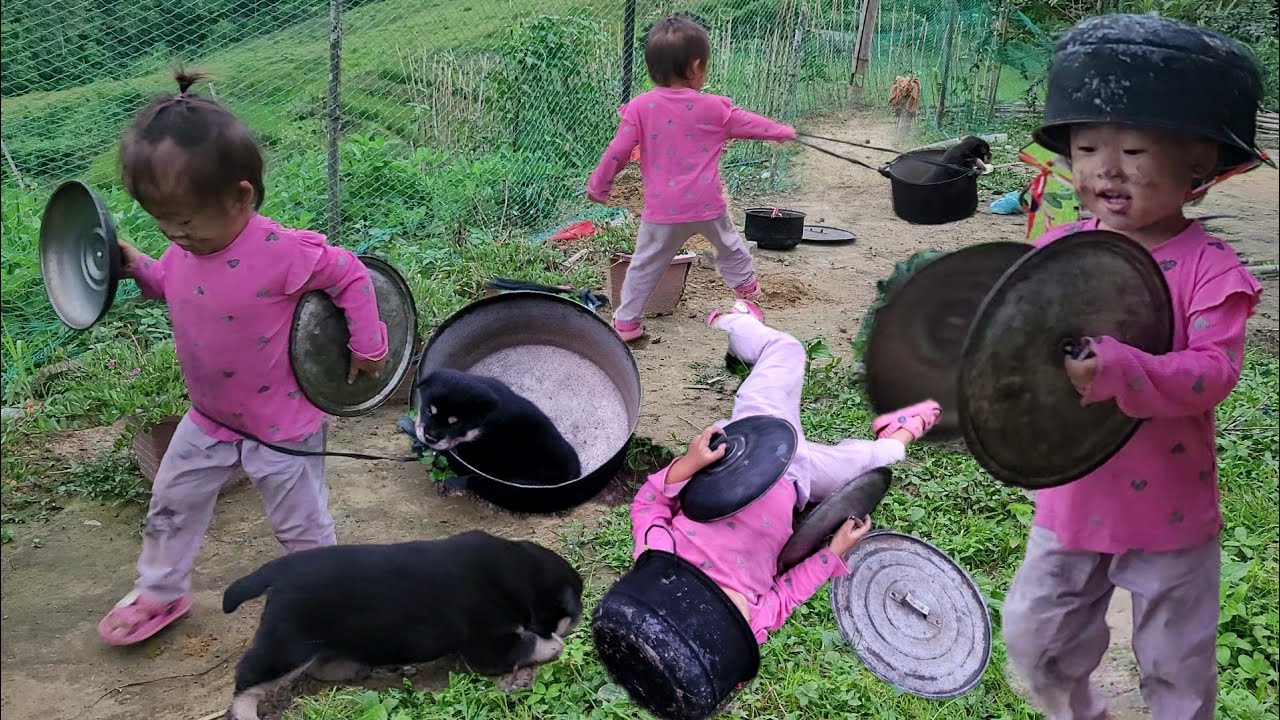 While Mom was away, little Ngan wrecked the house 😱 | Harvesting and selling the rambutan fruit.