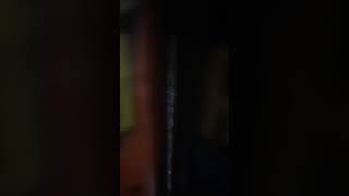 Raid Max Y Raid Casa Y Jardín Y Raid Mata Moscas Y Mosquitos