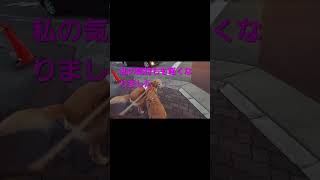 【手術痕で閲覧注意】毛包上皮腫（もうほうじょうひしゅ）の7日間の経過 #犬の毛包上皮腫 #毛包上皮腫 #ゴールデンレトリバー #goldenretriever #shorts #腫瘍 #犬の腫瘍