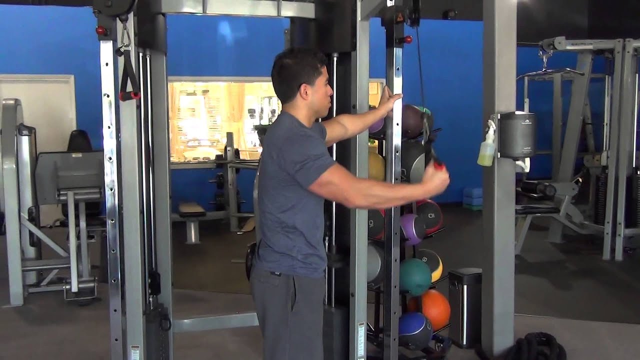 Cable High to Low Single Arm Rear Delt Fly's YouTube