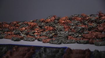 Ai Weiwei Installation