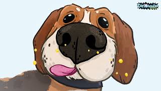 Comment sent le chien ? | Curionautes des sciences