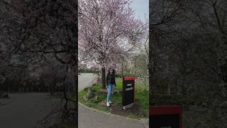 #selflove #selfimprovement #bengali #yentiyenti