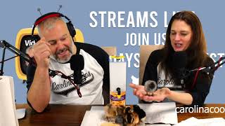 Video Chicken Live! Starter Flock and Baby Chicks
