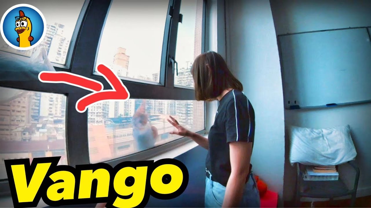 Window Vango 當Vango跳出窗外 如何拯救牠! - YouTube