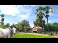 Rural life activity  rural life in cambodia ep1