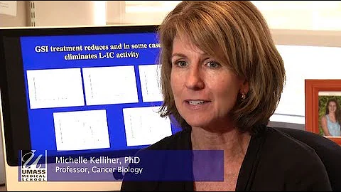 UMass Medicine Cancer Researcher Michelle Kelliher