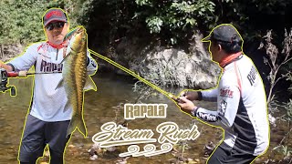Stream fishing with Rapala Stream Rush screenshot 4