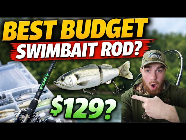 car seat built in stroller Doona Infant and – Safe Ride 4 Kids Portrait of bearded biker dollhouse fish care tensioning system and Quick Color:Redfire Crawdad