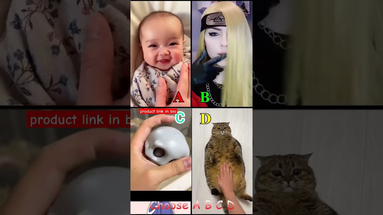 Choose Your Best