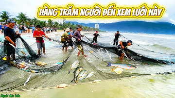 Ai Cũng Hiếu Kỳ! Hàng Trăm Người Tụ Tập Xem Mẻ Lưới Rùng này làm náo nhiệt cả biển 