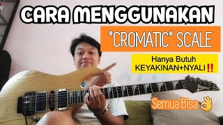 MENGGUNAKAN CROMATIK, dengan cara sederhana #blues #licks #ibanezrg470