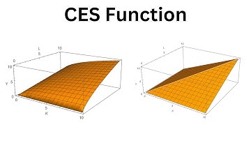 The CES Production Function