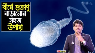 শুক্রাণুর সংখ্যা বৃদ্ধির ১০ টি উপায় - বীর্যে শুক্রাণু বৃদ্ধি করে যে ১০টি খাবার