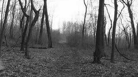 Project 4 (Katatonia - Soil