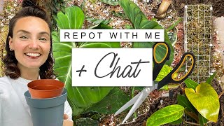 Repot With Me + Chat  Chilled Chatty Evening Plant Chores