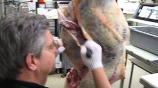 Breaking down a prime hindquarter #1
