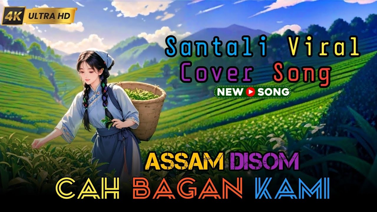 ASSAM DISOM CAH BAGAN || SANTALI AI VIRSION SONG || LITHUR ARANG 🔥