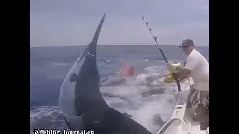 Поймал огромного голубого марлина 2018 / Caught huge blue marlin 2018