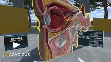 Tutorial: 3D recording