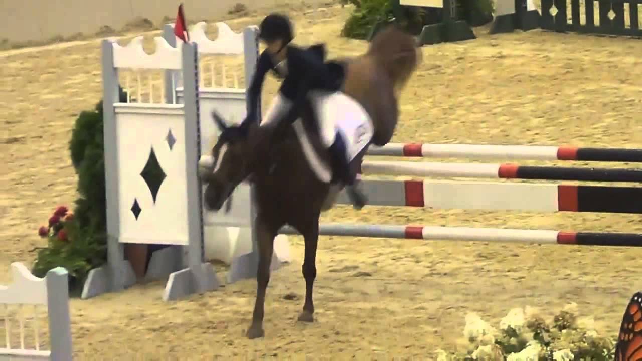 Pony Finals 2013