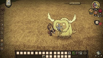 Taming Beefalo in dst be like
