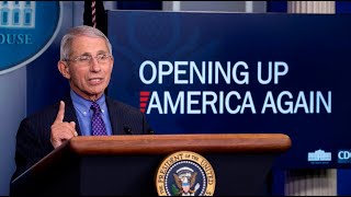 Extended lockdowns could cause 'irreparable damage': Dr Fauci