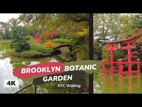 New York, Hoa Kỳ | NYC | Tour Đi Bộ 4K