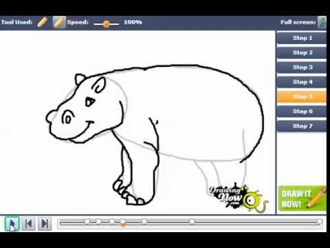 How to Draw a Hippo - YouTube