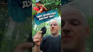 Thumbnail for Что в джунглях лучше не тpогать?