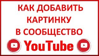 Как Добавить Картинку в Сообщество Канала в Ютубе (Youtube)