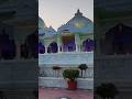 मानगढ़ कृपालु धाम का रहस्य | भक्ति, इतिहास और अनसुना सच | Special Coverage