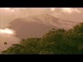 Solomon Islands: The Wood for the Trees - YouTube