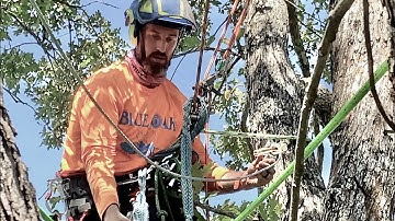 How to Cable a Tree With EHS Steel Cable and Rig Guy Wire Stops