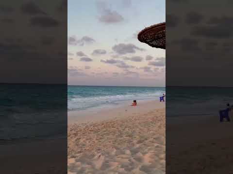 الشمس وهى مروحه يوم جميل