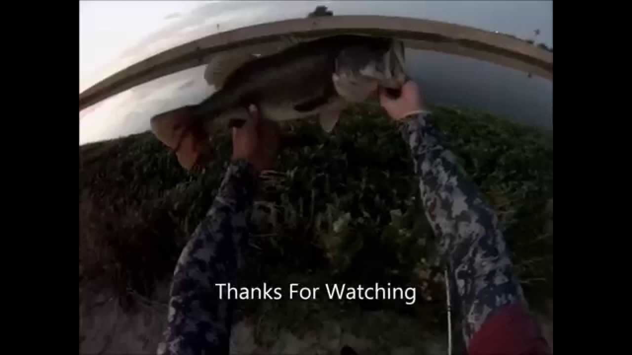 Fishing Firebaugh Canal (DMC) YouTube