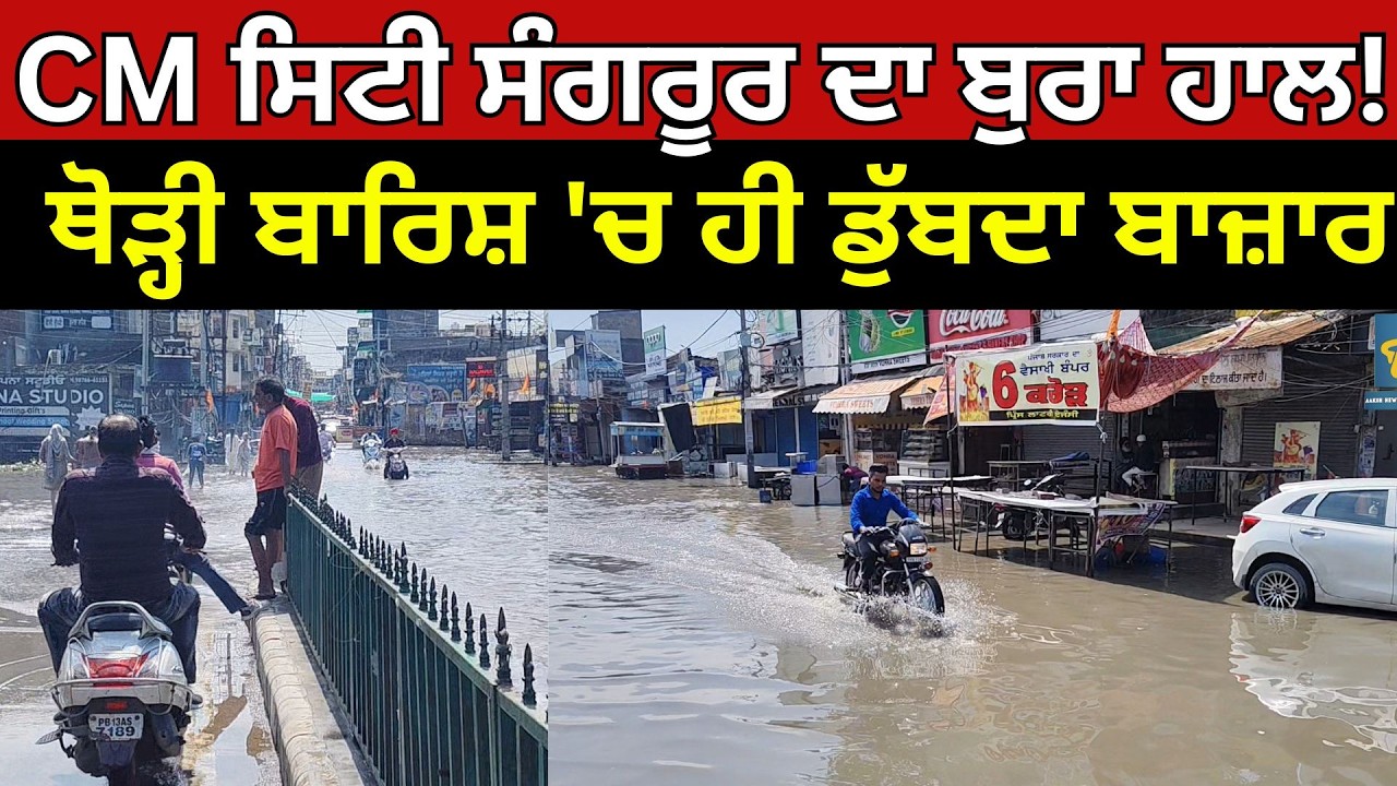 CM ਸਿਟੀ ਸੰਗਰੂਰ ਦਾ ਬੁਰਾ ਹਾਲ! ਥੋੜ੍ਹੀ ਬਾਰਿਸ਼ 'ਚ ਹੀ ਡੁੱਬਦਾ ਬਾਜ਼ਾਰ #environment
