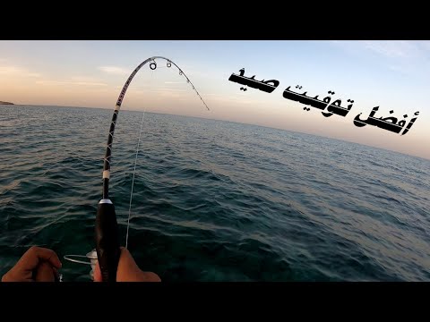 أفضل توقيت صيد فى البحر الاحمر صيد جرم بياض