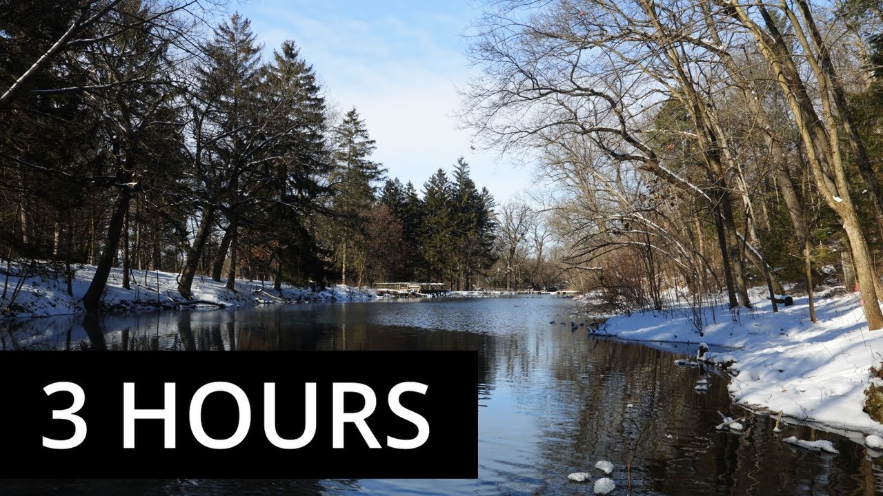 Winter Silence Broken Only by Trickling Water | Peaceful ASMR