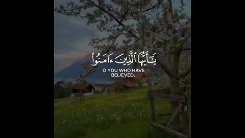 تلاوه خاشعه//بصوت القارئ سعد الغامدي//حالات واتس اب دينيه❤❤.